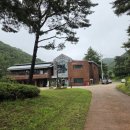 치유의 방 | 서천치유의숲 체험 후기 | 충남형 도민치유 힐링프로그램