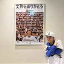 파미홀 | 혜원이의니치죠