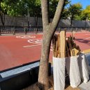 새생명힐링센터 이미지