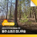 소호 숲 이미지