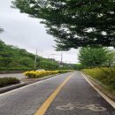 대청호수로 이미지