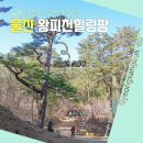 왕피천힐링팜 이미지