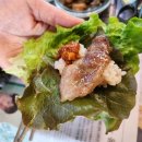 축산물도매일번가 - 은평구 연서로 251 | 축산물도매일번가