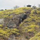 2월 9일 - [화요산행][6시 출발] 응봉산~원탕폭포/덕구온천(경북 울진) 예약 이미지