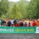 화창한병원 이미지