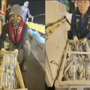 뉴코스모스호 1 이미지