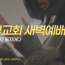 영성일기 2026.06.30. (화) 새벽기도회 (찬송) 488장 이 몸의 소망 무언가 (성경) 마 8:5-13 네 믿음대로 될지어다 이미지