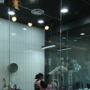 멍멍아 놀자 이미지