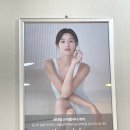 인셀덤리더스 이미지