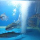 해나라2호 이미지