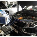 허니모터스 이미지