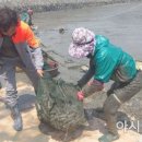 순천-25호 이미지