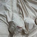 텐트세탁PLUS 이미지