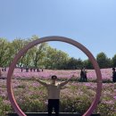 철쭉동산 이미지