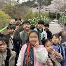 더혼 산하도장 이미지