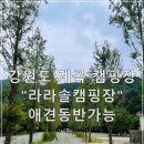 [블챌]체크인챌린지2-13 강원도 애견동반가능 계곡캠핑장 라라솔캠핑장