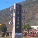 관광펜션 곰 | [강원도/정선] 정선 가볼만한 곳 정선 레일바이크 예약 정보 찐 후기