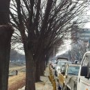 화정천서로5 이미지