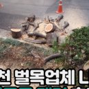 낙은로50번길 이미지