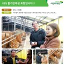 정세영농장 이미지