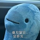 소망약국 | 난임일기 (9) | 세종 트리니움 아이소망센터 인공수정 2차 후기 | 유티프로 부작용 및 전원 결정 이유