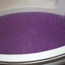 풀빌라펜션 드위트리 1 이미지