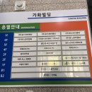 히포파통 이미지