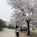 프레누 이미지
