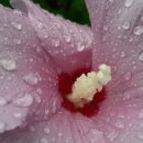 이용원내과의원 이미지