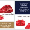라이즈미 이미지