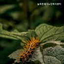 늘푸른 어르신사랑방 | 추천 부산 남구 믿을 수 있는 요양원 늘푸른재가노인복지센터 부산 남구 믿을만한 요양원