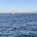 강동몽돌해변 이미지