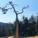 삼성웰스토리뉴스프링빌CC | 골프 필드연습은 여기가 최고, 가성비 좋은 노캐디 골프 뉴스프링빌CC 9홀