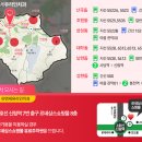 참편한치과 이미지