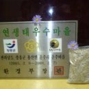 쇠똥구리마을 이미지
