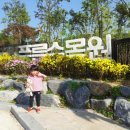 푸른현대주유소 이미지