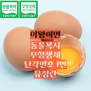 노란계란 이미지