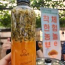 청두리 이미지