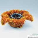 기특한학원 이미지