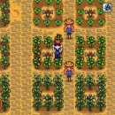 윤규농장 이미지