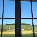 대부도칼국수 이미지