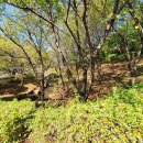 백양대로700번길 이미지