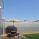 라인하트 애견호텔 유치원 이미지