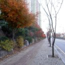 성원쌍떼빌아파트 이미지