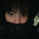 강아지 꼬순내 이미지