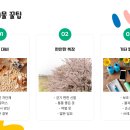 야간도자기교실 이미지