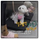 털로덮인친구들 동탄북광장점 이미지