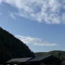 459 이미지
