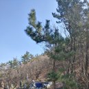 곰내재468커피 이미지