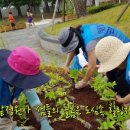 샘마을1길 9 이미지